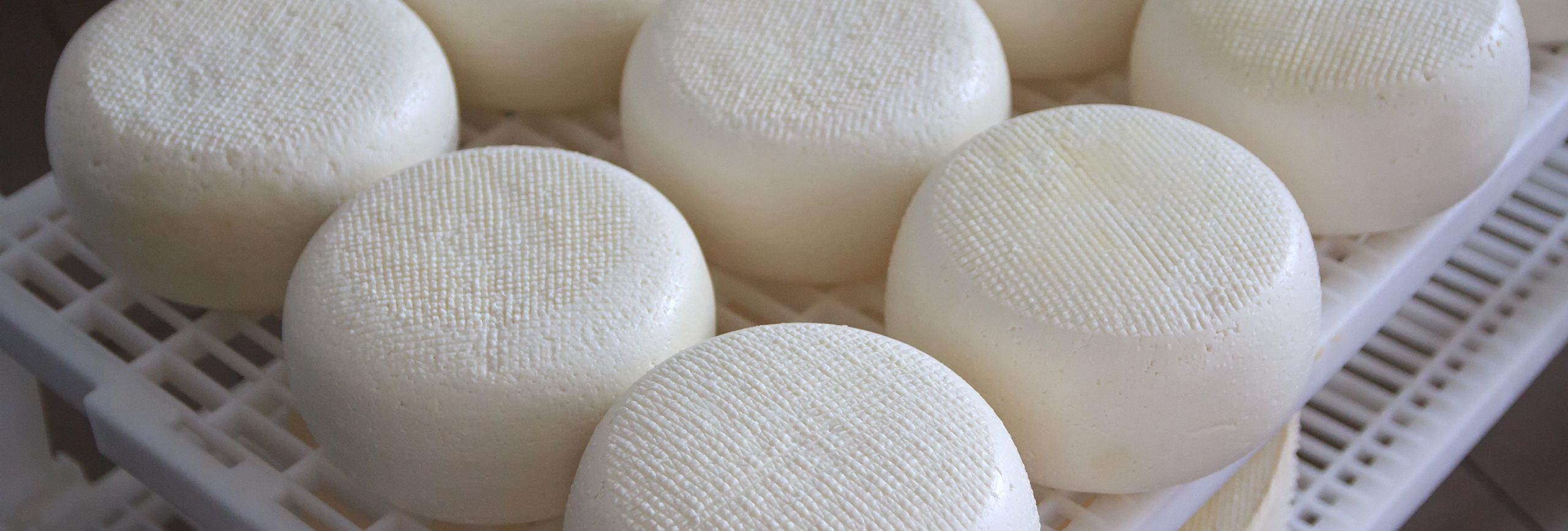 Washers for cheesemoulds / crates